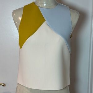 BNWT Topshop Color Block Top